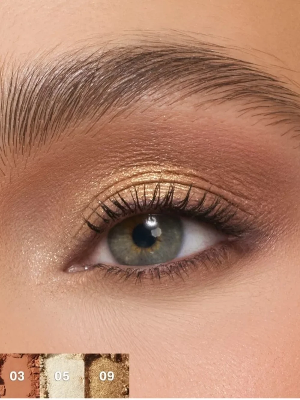 Morphe warm neutrals